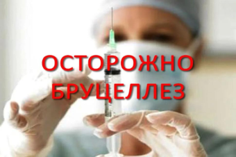 Бруцеллёз - хроническое инфекционное  заболевание