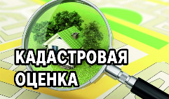 О проведении государственной кадастровой оценки земельных участков на территории Краснодарского края в 2022 году