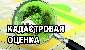 О проведении государственной кадастровой оценки объектов недвижимости на территории Краснодарского края в 2021 году