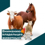 Памятка по содержанию домашних сельскохозяйственных животных Памятка по содержанию домашних сельскохозяйственных животных
