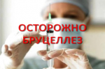 Бруцеллёз - хроническое инфекционное заболевание Бруцеллёз - хроническое инфекционное заболевание