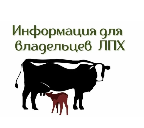 О полном и точном учете данных о личных подсобных хозяйствах (ЛПХ) нашего поселения О полном и точном учете данных о личных подсобных хозяйствах (ЛПХ) нашего поселения